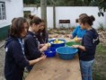 /album/p%c3%a3o%20e%20doces/pa240633-jpg/