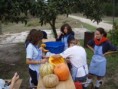 /album/p%c3%a3o%20e%20doces/pa240638-jpg/