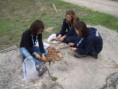 /album/p%c3%a3o%20e%20doces/pa240649-jpg/