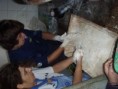 /album/p%c3%a3o%20e%20doces/pa240657-jpg/