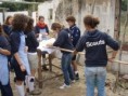 /album/p%c3%a3o%20e%20doces/pa240705-jpg/